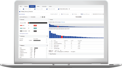 c09-big-data-quality-interface